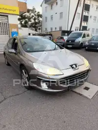 2007 Peugeot 407