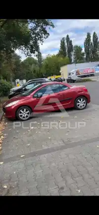 2007 Peugeot 207