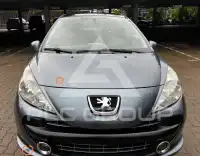 2007 Peugeot 207
