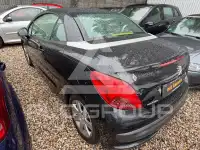 2007 Peugeot 207