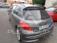 2007 Peugeot 207