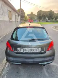 2007 Peugeot 207