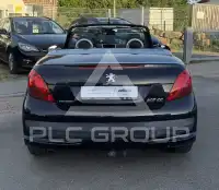 2007 Peugeot 207