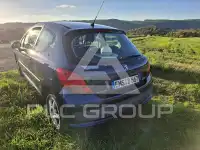 2007 Peugeot 207