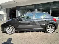 2007 Peugeot 207