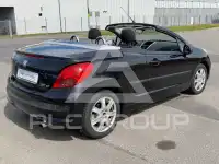 2007 Peugeot 207