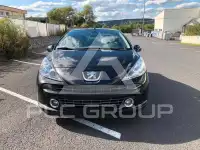 2007 Peugeot 207
