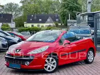 2007 Peugeot 207
