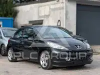 2007 Peugeot 207