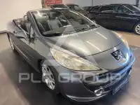 2007 Peugeot 207
