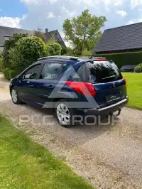 2007 Peugeot 207