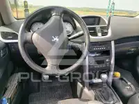 2007 Peugeot 207