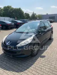 2007 Peugeot 207