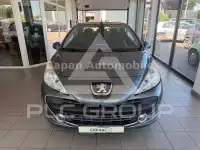 2007 Peugeot 207