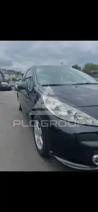 2007 Peugeot 207