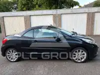 2007 Peugeot 207