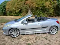 2007 Peugeot 207
