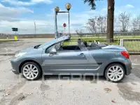 2007 Peugeot 207