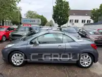 2007 Peugeot 207