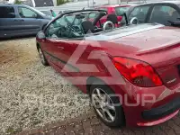 2007 Peugeot 207