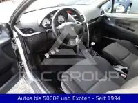 2007 Peugeot 207