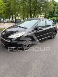 2007 Peugeot 207