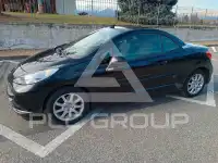 2007 Peugeot 207