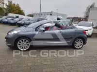 2007 Peugeot 207