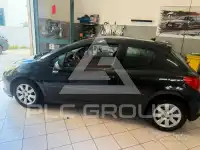 2007 Peugeot 207