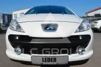 2007 Peugeot 207
