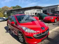 2007 Peugeot 207