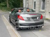 2007 Peugeot 207