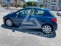 2007 Peugeot 207