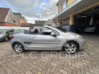 2007 Peugeot 207