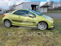 2007 Peugeot 207