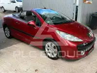 2007 Peugeot 207