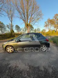 2007 Peugeot 207