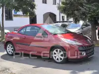 2007 Peugeot 207