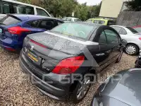 2007 Peugeot 207