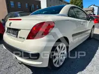 2007 Peugeot 207