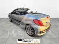 2007 Peugeot 207