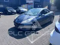 2007 Peugeot 207