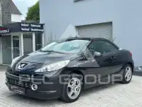 2007 Peugeot 207