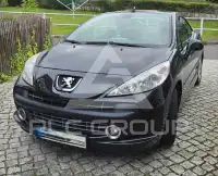 2007 Peugeot 207