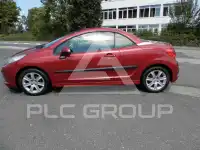 2007 Peugeot 207