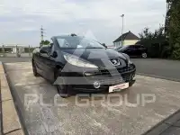 2007 Peugeot 207