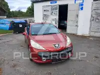 2007 Peugeot 207