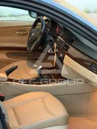 2008 BMW 318