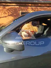2008 Audi TT