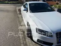 2008 Audi S5